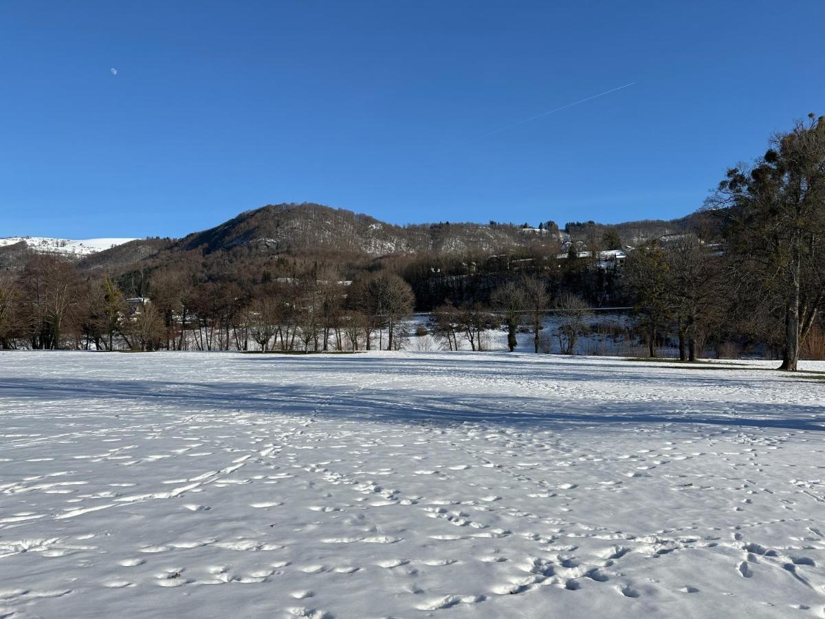 Belle Maison De Ville Au Coeur Du Village De Montagne Vic-sur-Cère Eksteriør bilde