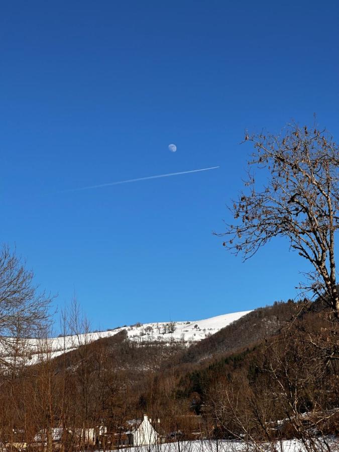 Belle Maison De Ville Au Coeur Du Village De Montagne Vic-sur-Cère Eksteriør bilde